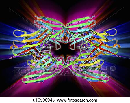 Stock Illustration - Titin muscle protein molecule. Fotosearch
