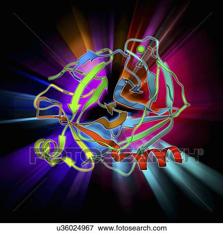 Stock Illustration - Trypsin molecule. Fotosearch