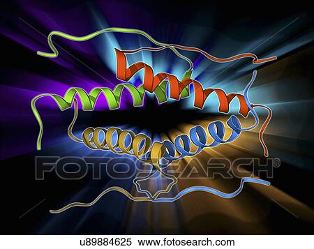 Stock Illustration - Tumour suppressor protein molecular model. Fotosearch