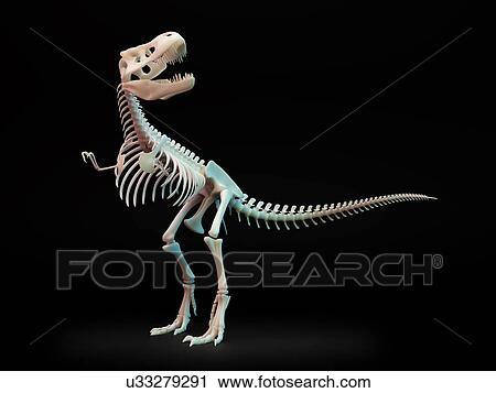 Tyrannosaurus rex skeleton, artwork View Large Illustration Clip Art - Tyrannosaurus rex skeleton, artwork. Fotosearch