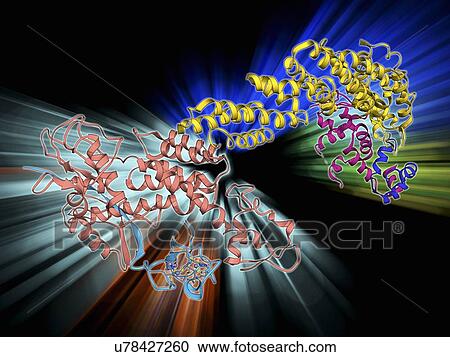 Clipart - Ubiquitin ligase molecule. Fotosearch