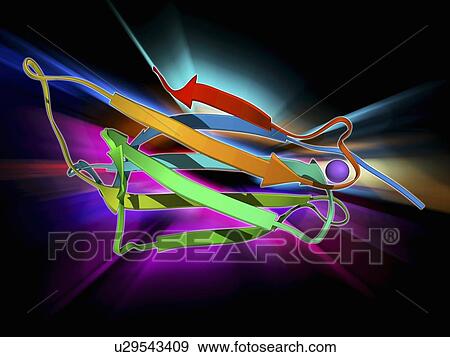 Stock Illustration - Ubiquitin ligase molecule. Fotosearch