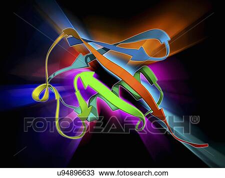 Drawing - Ubiquitin molecule. Fotosearch