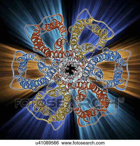 Stock Illustration - Urea channel molecule. Fotosearch