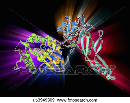 Stock Illustration - VMA-1 derived endonuclease molecule. Fotosearch
