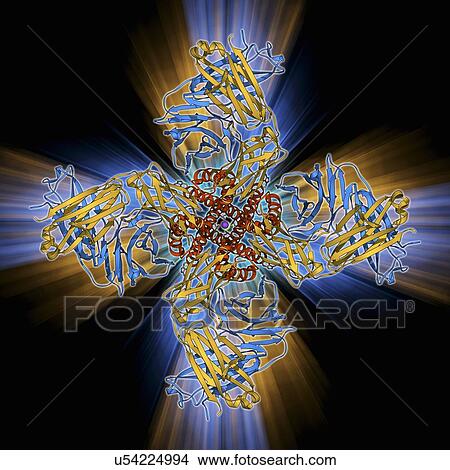 Voltage-gated potassium channel View Large Illustration Stock Illustration - Voltage-gated potassium channel. Fotosearch