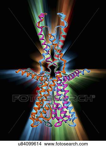Stock Illustration - Voltage-gated potassium channel. Fotosearch