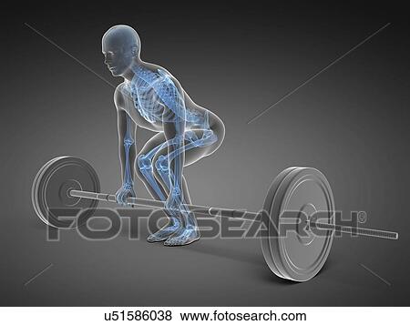 Stock Illustration - Weight training posture, artwork. Fotosearch