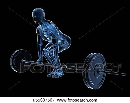 Stock Illustration - Weight training posture, artwork. Fotosearch
