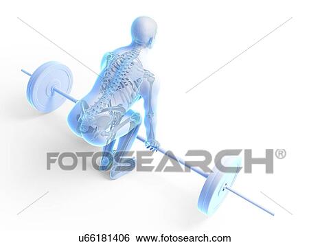 Stock Illustration - Weight training posture, artwork. Fotosearch
