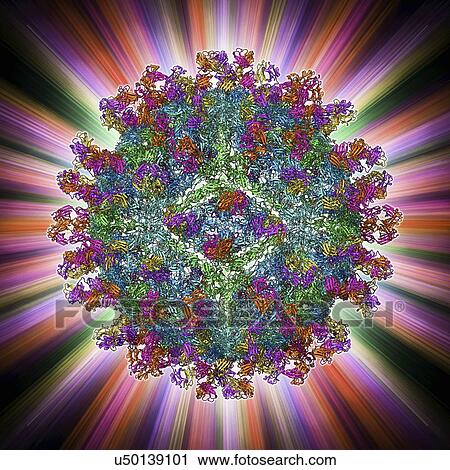 Clip Art - West Nile virus and antibodies. Fotosearch