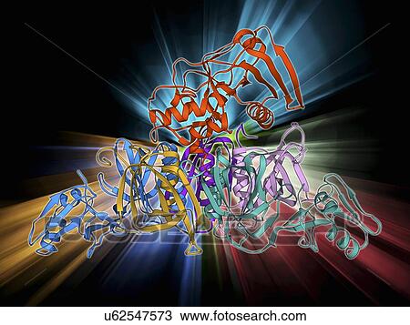 Whooping cough toxin molecule View Large Illustration Drawing - Whooping cough toxin molecule. Fotosearch