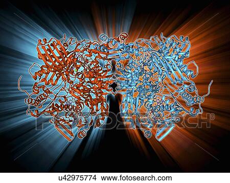 Stock Illustration - Xanthine dehydrogenase molecule. Fotosearch