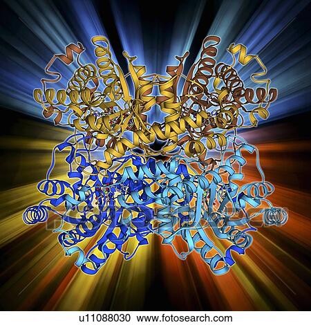 Xylose isomerase complex View Large Illustration Clipart - Xylose isomerase complex. Fotosearch