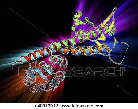 Drawing - Yersinia pestis virulence factor. Fotosearch
