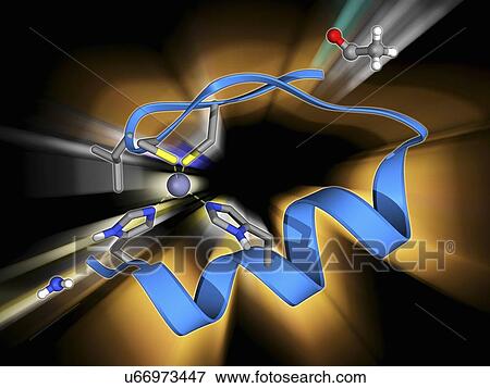 Zinc finger molecule View Large Illustration Stock Illustration - Zinc finger molecule. Fotosearch