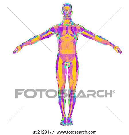 Abstract polygonal model of a man View Large Illustration Stock Illustration - Abstract polygonal model of a man. Fotosearch