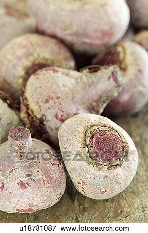 Beetroot View Large Illustration Stock Illustration - Beetroot. Fotosearch