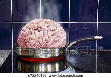 Brain in frying pan View Large Illustration Drawing - Brain in frying pan. Fotosearch