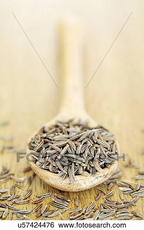 Caraway seeds View Large Illustration Stock Illustration - Caraway seeds. Fotosearch