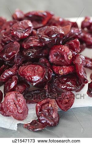 Drawing - Dried cranberries. Fotosearch