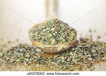 Drawing - Dried oregano. Fotosearch