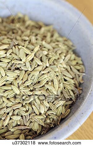 Stock Illustration - Fennel seeds. Fotosearch