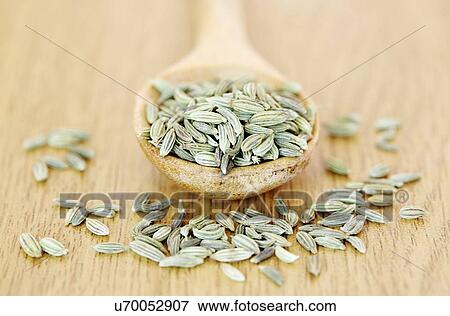 Fennel seeds View Large Illustration Stock Illustration - Fennel seeds. Fotosearch