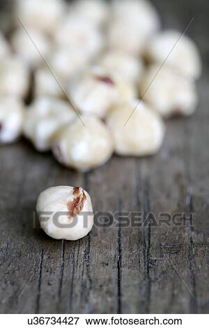 Hazelnuts View Large Illustration Stock Illustration - Hazelnuts. Fotosearch