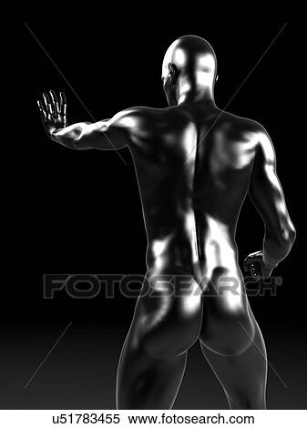 Stock Illustration - Human anatomy, artwork. Fotosearch