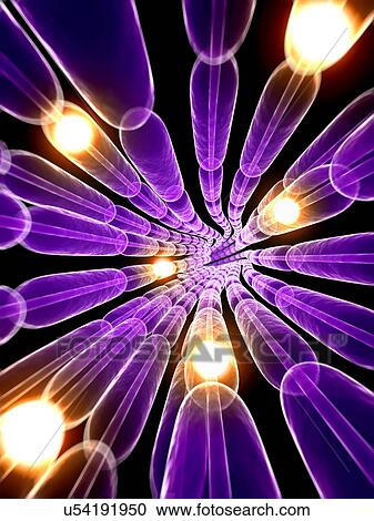 Clipart - Human nerve cell, artwork. Fotosearch
