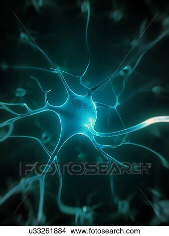 Human nerve cell, artwork View Large Illustration Stock Illustration - Human nerve cell, artwork. Fotosearch
