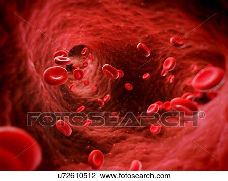 Drawing - Human red blood cells, artwork. Fotosearch