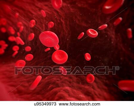Human red blood cells, artwork View Large Illustration Drawing - Human red blood cells, artwork. Fotosearch