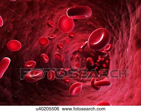 Stock Illustration - Human red blood cells, artwork. Fotosearch