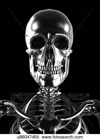 Human skull, artwork View Large Illustration Stock Illustration - Human skull, artwork. Fotosearch