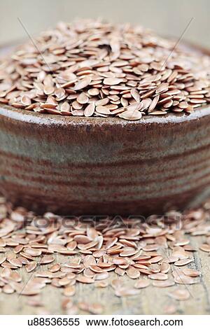 Linseeds View Large Illustration Stock Illustration - Linseeds. Fotosearch