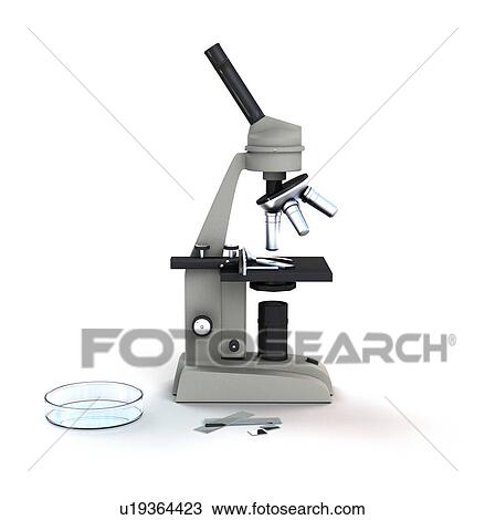 Drawing - Microscope, computer artwork.. Fotosearch