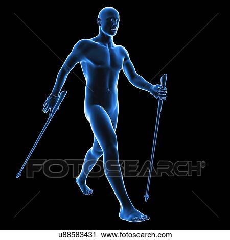 Clip Art - Nordic walker, artwork. Fotosearch