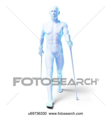 Nordic walker, artwork View Large Illustration Clipart - Nordic walker, artwork. Fotosearch