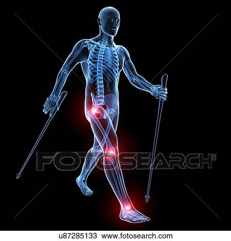 Nordic walker, artwork View Large Illustration Drawing - Nordic walker, artwork. Fotosearch