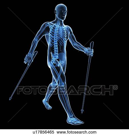 Stock Illustration - Nordic walker, artwork. Fotosearch