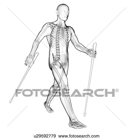 Stock Illustration - Nordic walker, artwork. Fotosearch