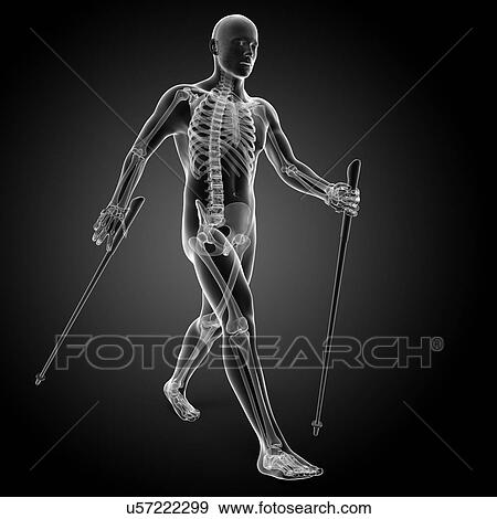 Nordic walker, artwork View Large Illustration Stock Illustration - Nordic walker, artwork. Fotosearch