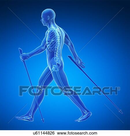 Nordic walker, artwork View Large Illustration Stock Illustration - Nordic walker, artwork. Fotosearch