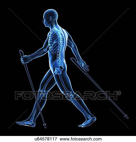 Stock Illustration - Nordic walker, artwork. Fotosearch