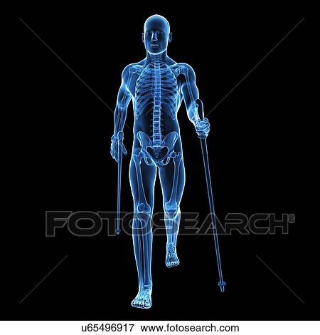 Nordic walker, artwork View Large Illustration Stock Illustration - Nordic walker, artwork. Fotosearch