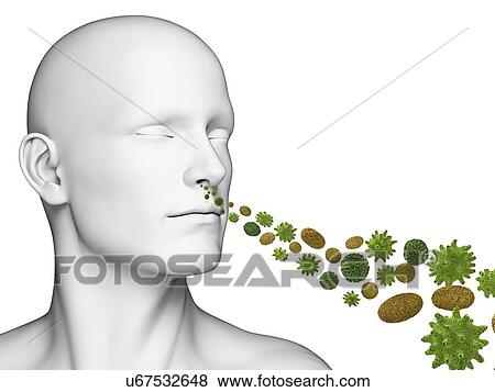 Person breathing in pollen, artwork View Large Illustration Stock Illustration - Person breathing in pollen, artwork. Fotosearch