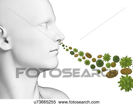 Person breathing in pollen, artwork View Large Illustration Stock Illustration - Person breathing in pollen, artwork. Fotosearch