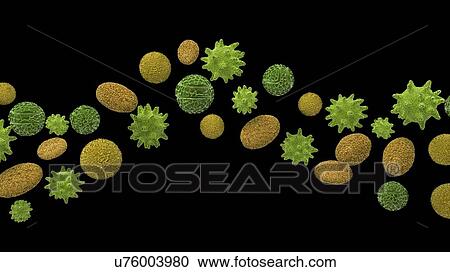 Pollen, artwork View Large Illustration Clipart - Pollen, artwork. Fotosearch